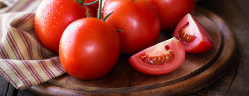 Can Dogs Eat Tomatoes Read Before You Feed Purina